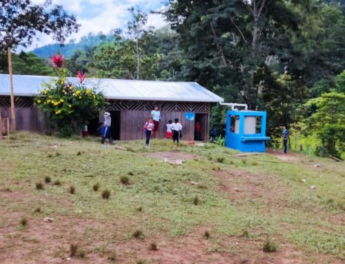 Agua segura para 71 niñas y niños de escuela rural en Ayapal