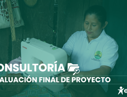 Consultoría para Evaluación Final de Proyecto